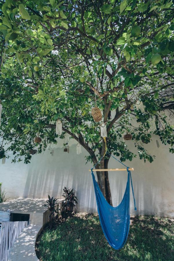 Villaboha Merida Ngoại thất bức ảnh